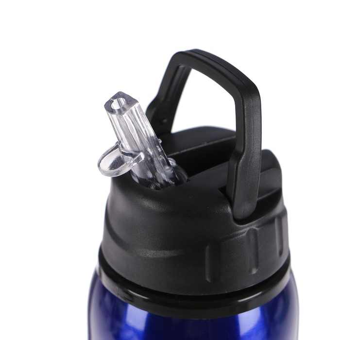 Бутылка для воды 600 мл, 201 нерж сталь, с металлической вставкой, микс, 7.5х7.5х21 см