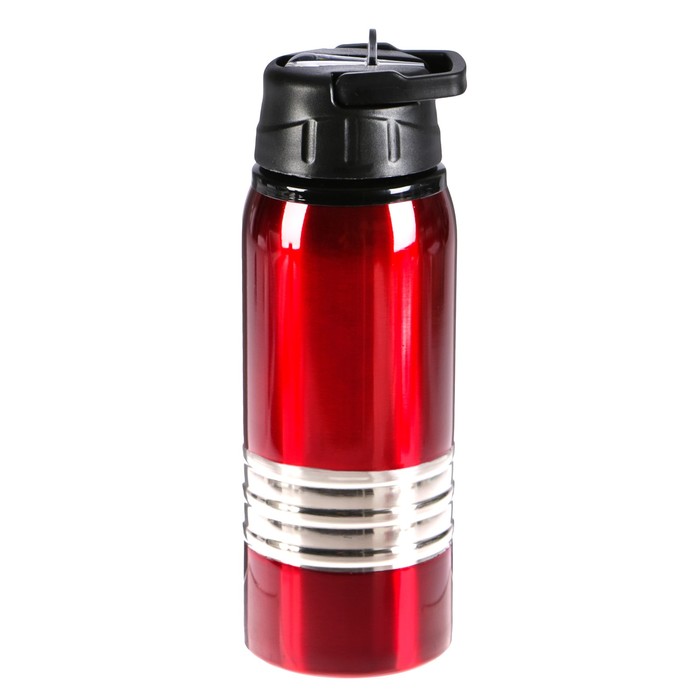 Бутылка для воды 600 мл, 201 нерж сталь, с металлической вставкой, микс, 7.5х7.5х21 см