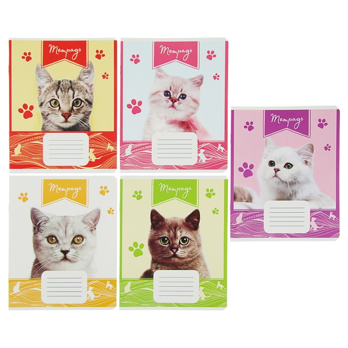 Тетрадь 12 листов линейка Calligrata "Кошачьи мордочки" обложка мелованный картон 190 г/м2, 5 видов МИКС