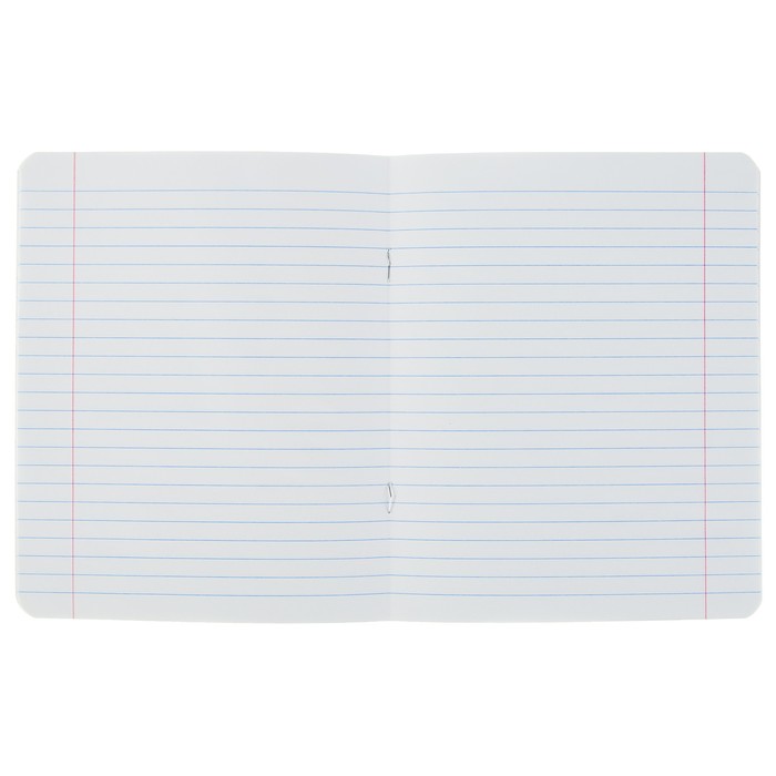 Тетрадь 12 листов линейка Calligrata "Кошачьи мордочки" обложка мелованный картон 190 г/м2, 5 видов МИКС