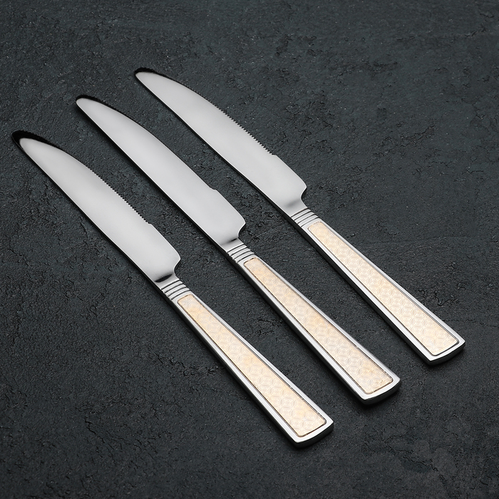 Набор ножей столовых 22,5 см "Перту", 3 шт