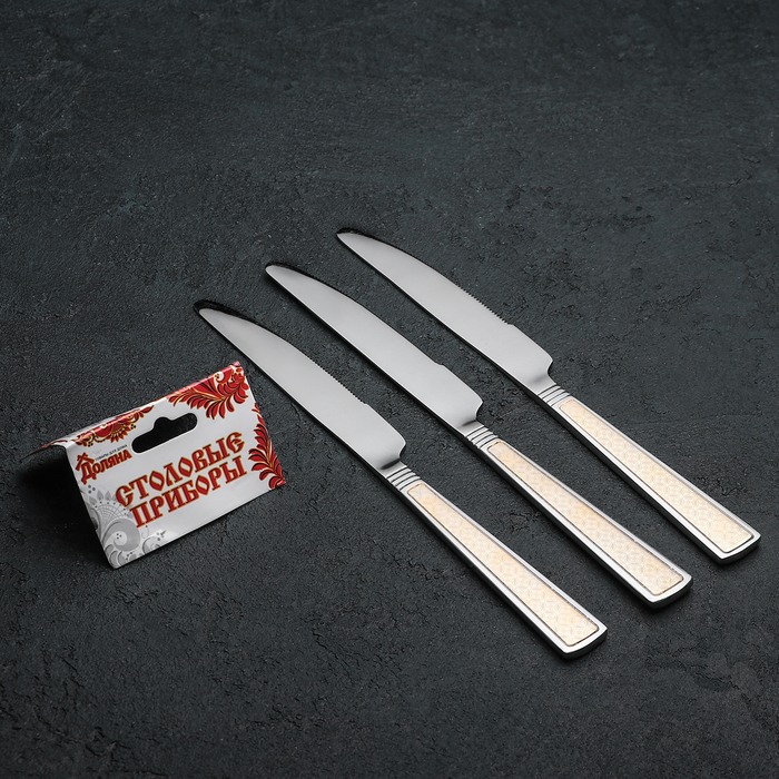 Набор ножей столовых 22,5 см "Перту", 3 шт