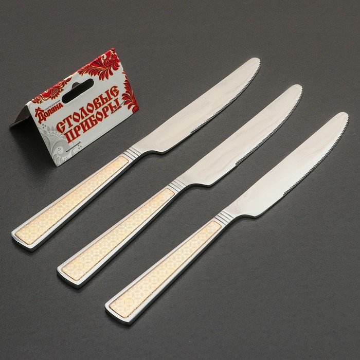 Набор ножей столовых 22,5 см "Перту", 3 шт