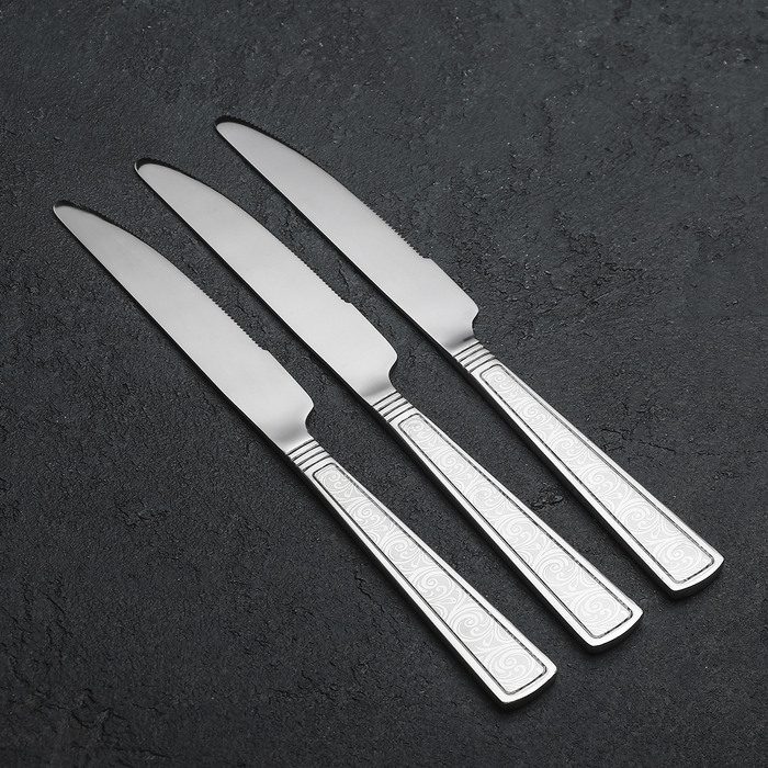 Набор ножей столовых 22,3 см "Олис", 3 шт
