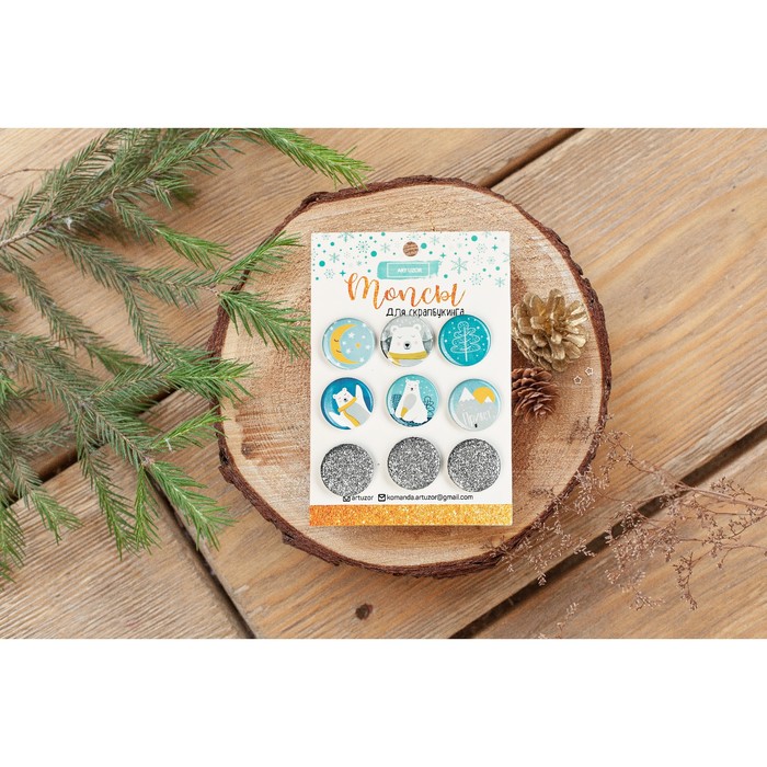 Топсы для скрапбукинга в наборе «Мои зимние сны», 9,5 × 14 см