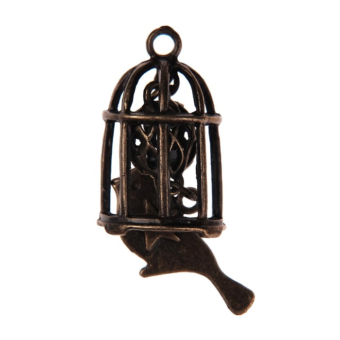 Набор металлических подвесок "Клетка с кулоном" 5 шт, 2,9х9,5 см