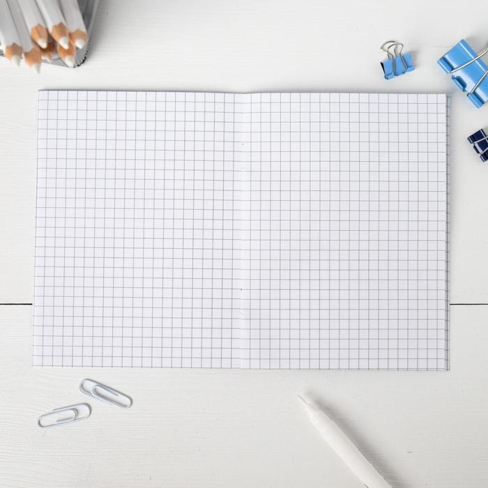 Блокнот «Владивосток. Тюлень»