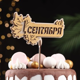 Топпер 1 сентября 13х9.5 см