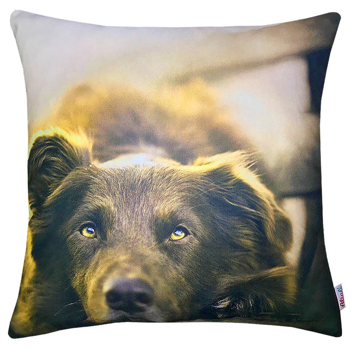 Наволочка декоративная "Граф", размер 43х43 см, сепия, микрофибра