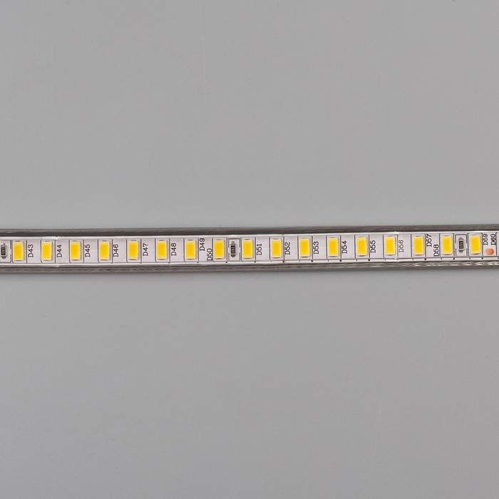 Светодиодная лента ЯРКАЯ 220В,SMD5630, 100 м, IP68, 120 LED, 25 Вт/м,35 Лм/LED, AC, БЕЛЫЙ