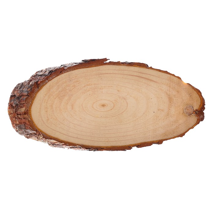 Спил сосны косой, шлифованный с одной стороны, 10х20см, толщина 1,5см