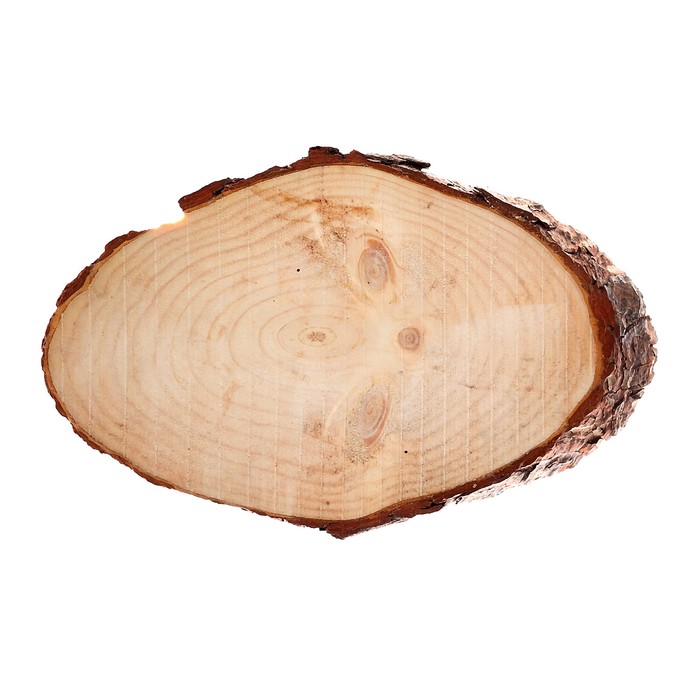 Спил сосны косой, шлифованный с одной стороны, 16х26см, толщина 1,5см