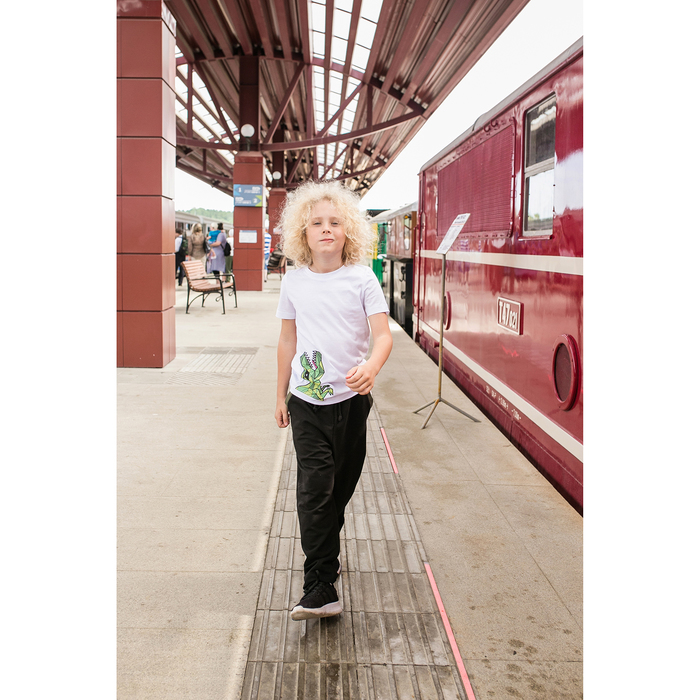 Футболка для мальчика MINAKU "Динозавр", рост 134-140 см, цвет белый