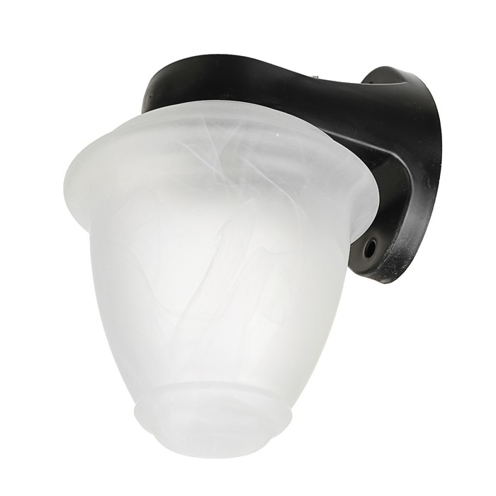 Светильник ЭЛЕТЕХ "Фонарь 1а" НБУ 06-60-02,алеб.мат.глад./корп. черн.,220В,IP44, настенный