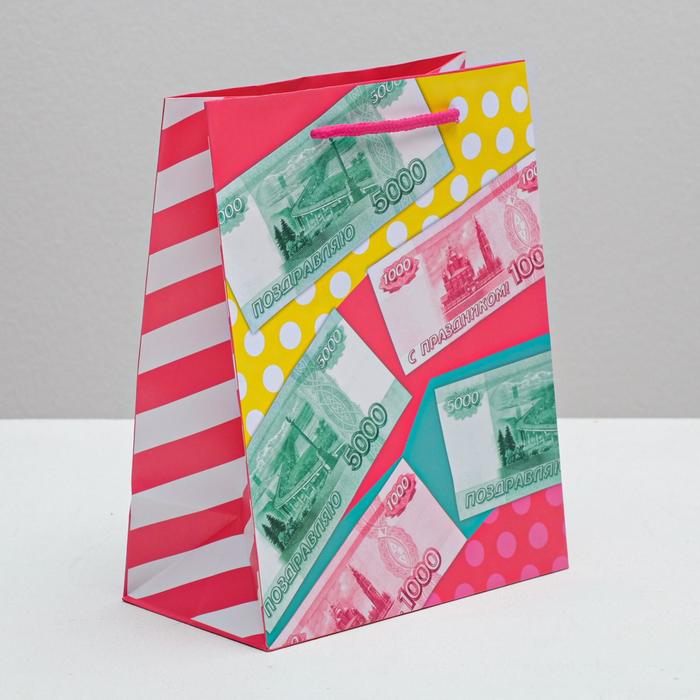 Пакет ламинированный вертикальный «Много денег!», MS 18 × 23 × 10 см