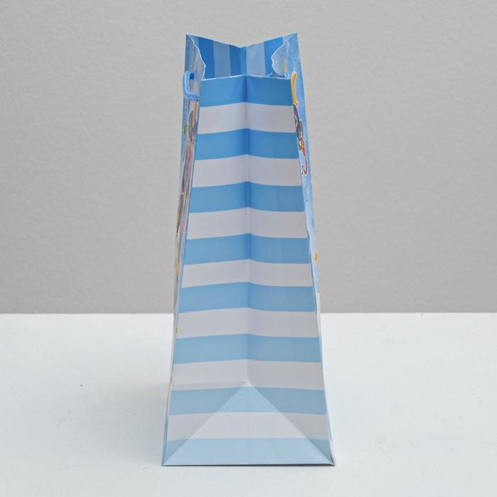 Пакет ламинированный вертикальный «С Днём Рождения тебя!», MS 18 × 23 × 10 см