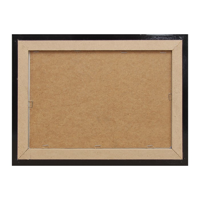 Картина "Птичья нежность" 27*37 см