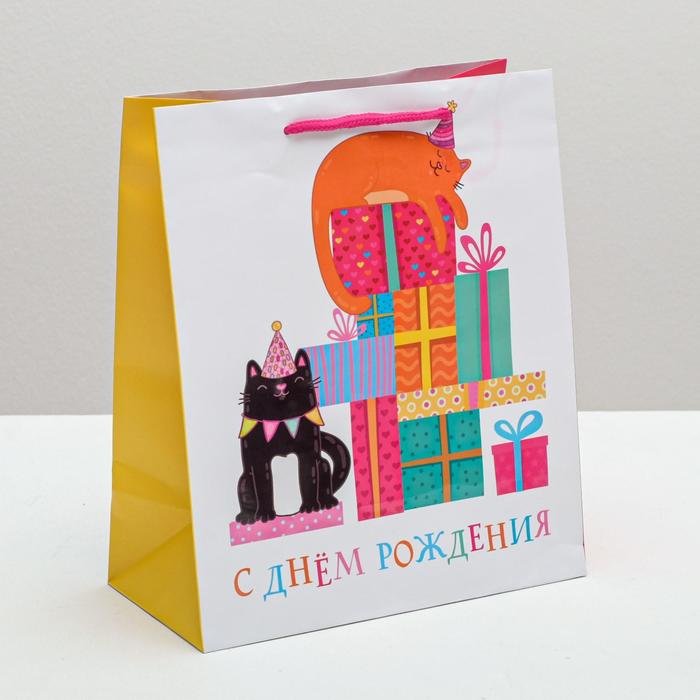 Пакет ламинированный вертикальный «Поздравляю С Днём Рождения!», ML 23 × 27 × 11,5 см