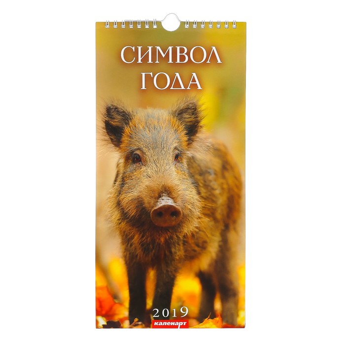 Календарь перекидной, ригель и пружина "Символ года - 1" 2019 год, 16,5х34см