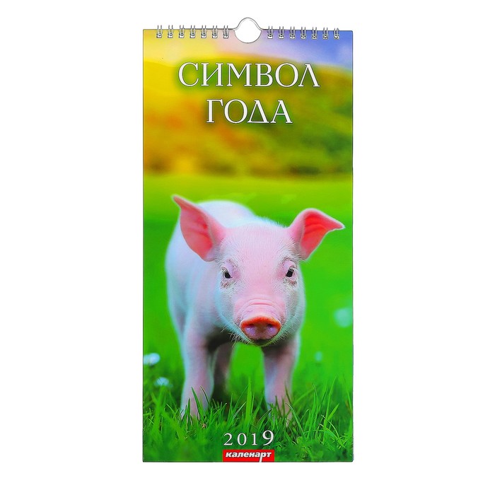 Календарь перекидной, ригель и пружина "Символ года - 2" 2019 год, 16,5х34см