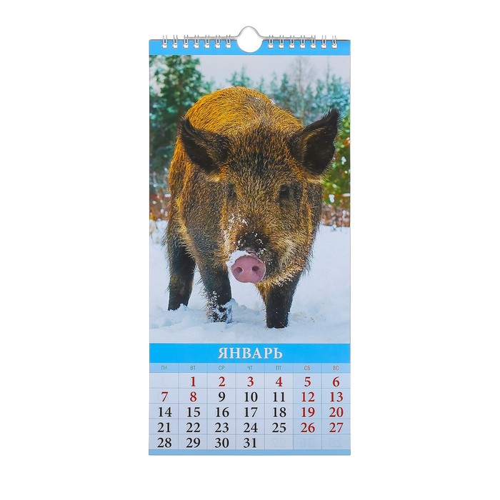 Календарь перекидной, ригель и пружина "Символ года - 2" 2019 год, 16,5х34см