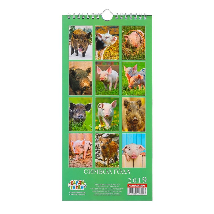 Календарь перекидной, ригель и пружина "Символ года - 2" 2019 год, 16,5х34см