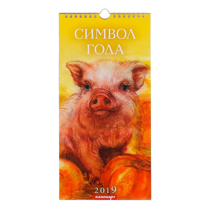 Календарь перекидной, ригель и пружина "Символ года - Акварель" 2019 год, 16,5х34см