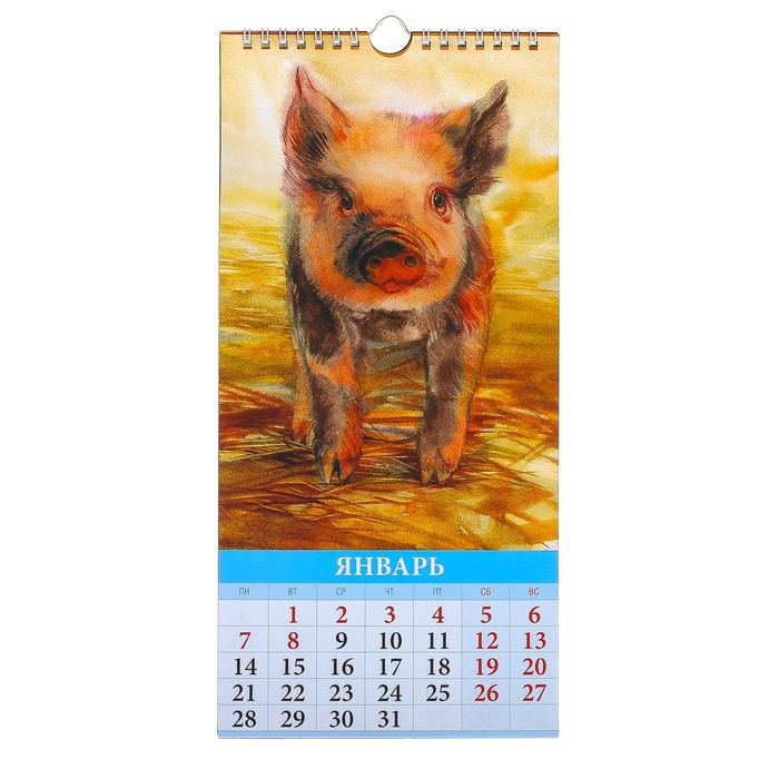 Календарь перекидной, ригель и пружина "Символ года - Акварель" 2019 год, 16,5х34см