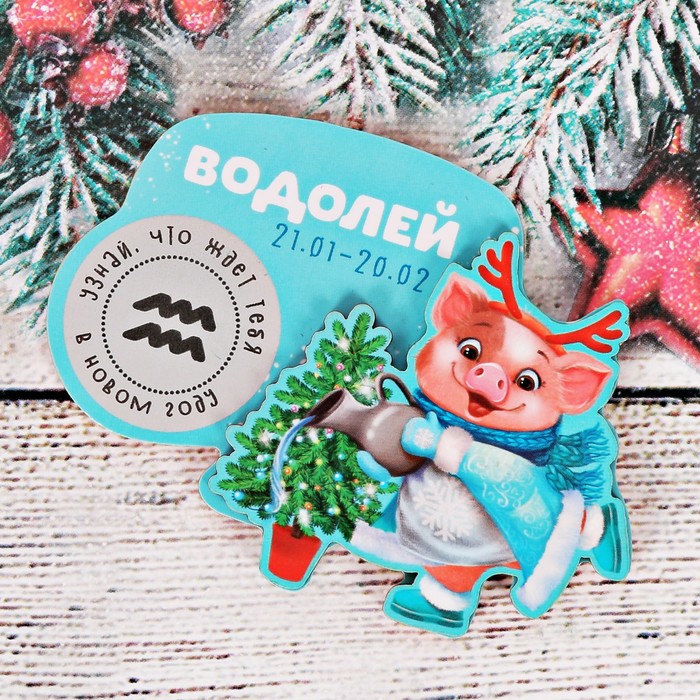 Магнит-гороскоп "Водолей"