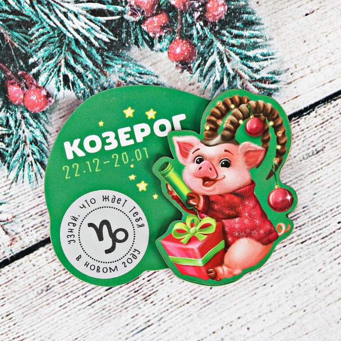 Магнит-гороскоп "Козерог"