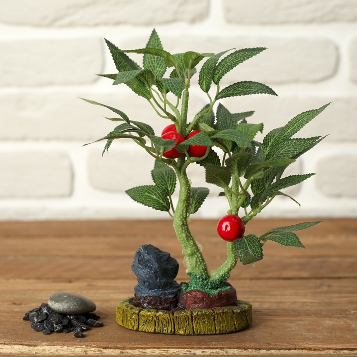 Бонсай "Деревце с фруктами" 8*10*19 см МИКС