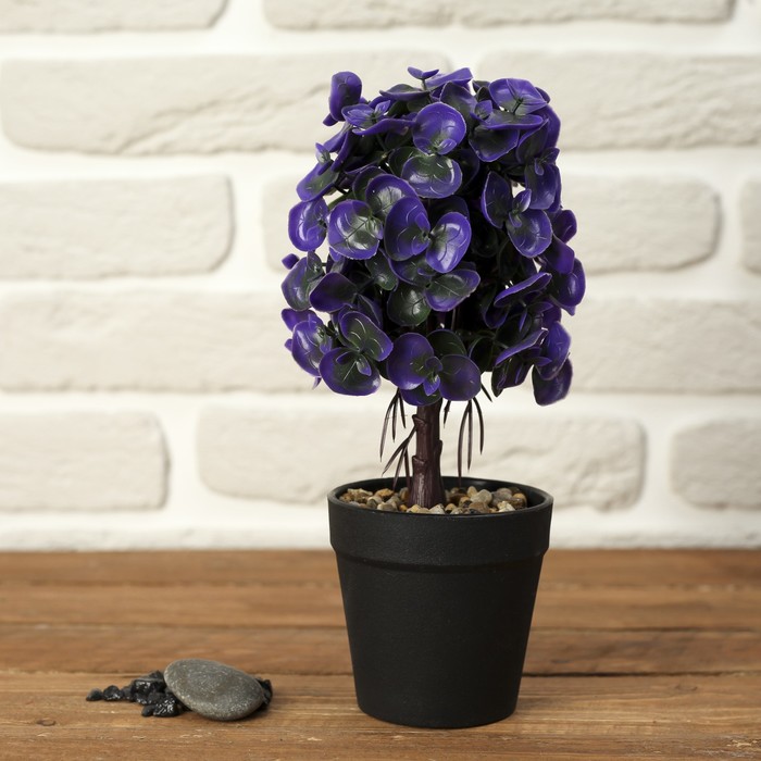 Бонсай "Пилея" 9*24 см  микс