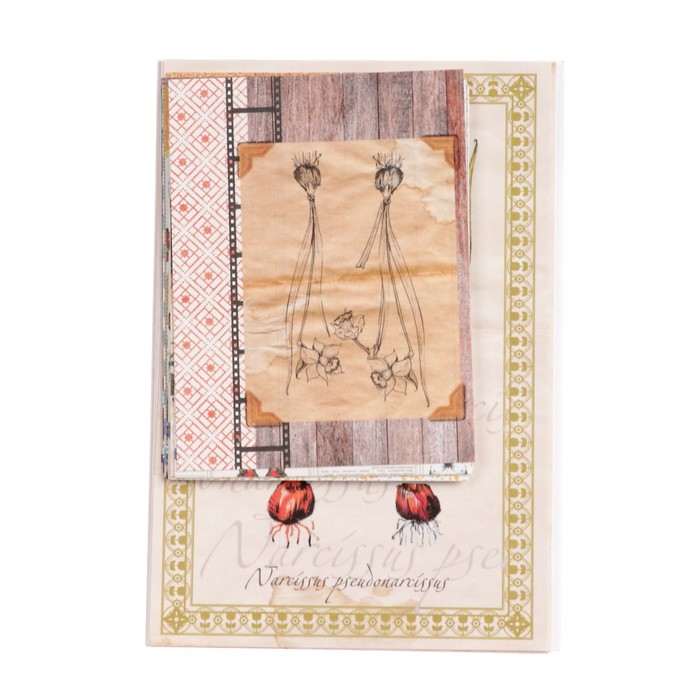 Набор карточек  для скрапбукинга (20 шт) "Атлас бабочек" 7,5х10 и 10х15 см