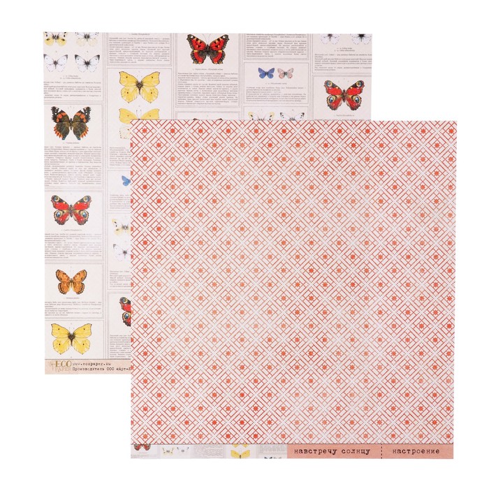 Бумага для скрапбукинга "Определитель "Атлас бабочек" 30,5х30,5 см, 250 гр/м2