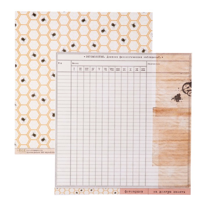 Бумага для скрапбукинга "Улей "Атлас бабочек"  30,5х30,5 см, 250 гр/м2