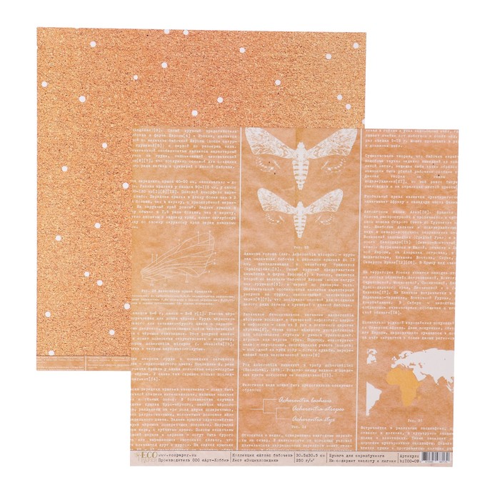 Бумага для скрапбукинга "Энциклопедия "Атлас бабочек" 30,5х30,5 см, 250 гр/м2