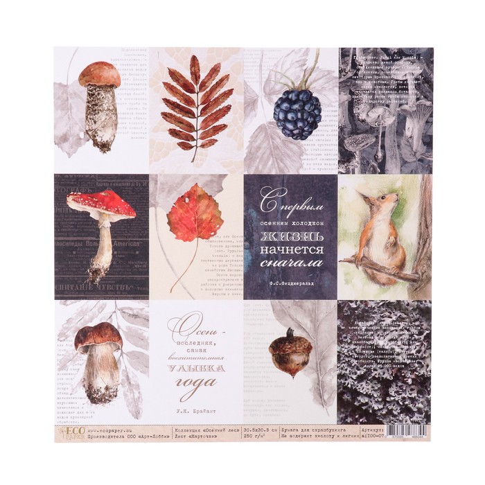 Бумага для скрапбукинга "Карточки "Осенний лес" 30,5х30,5 см, 250 гр/м2