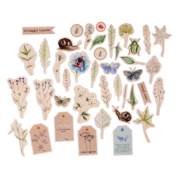 Набор вырубок для скрапбукинга (41 шт) "Среди лугов" 310 гр/м2