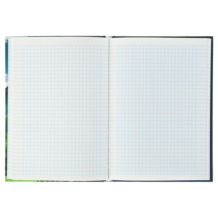 Колледж-тетрадь А5, 80 листов клетка Calligrata "Гора", твёрдая обложка