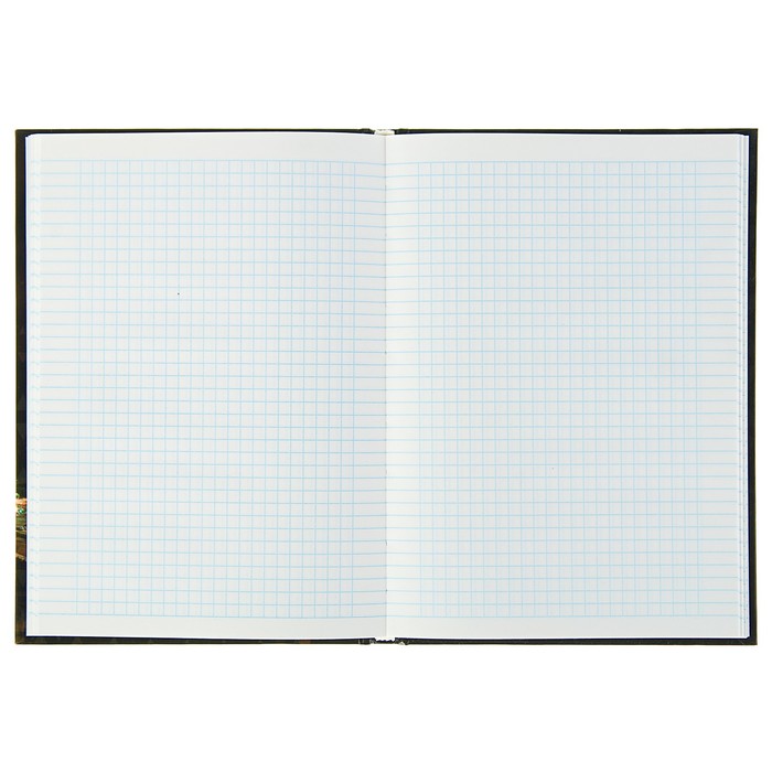 Колледж-тетрадь А5, 80 листов клетка Calligrata "Эйфелева башня", твёрдая обложка