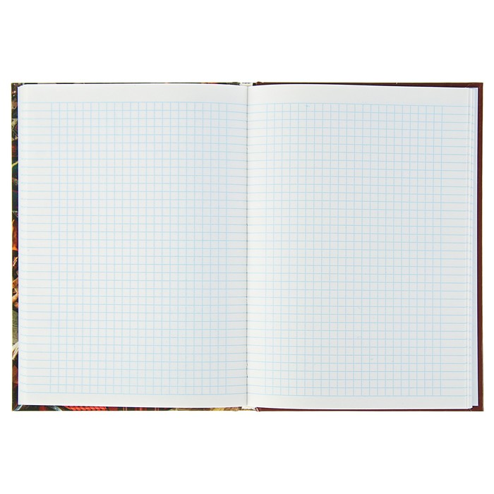 Колледж-тетрадь А5, 80 листов клетка Calligrata "Красная", твёрдая обложка