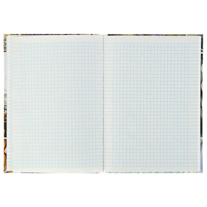 Колледж-тетрадь А5, 160 листов клетка Calligrata "Коллаж. Домашний уют", твёрдая обложка