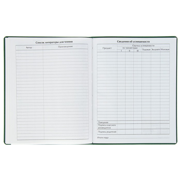 Дневник премиум класса универсальный для 1-11 класса Vivella "Авто", кожзам, зелёный