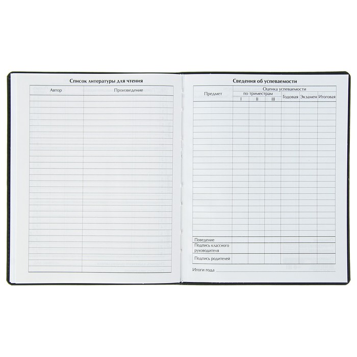 Дневник премиум класса универсальный для 1-11 класса Vivella "Школа", кожзам, чёрный