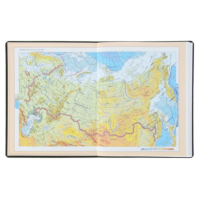 Дневник премиум класса универсальный для 1-11 класса Vivella "Школа", кожзам, чёрный