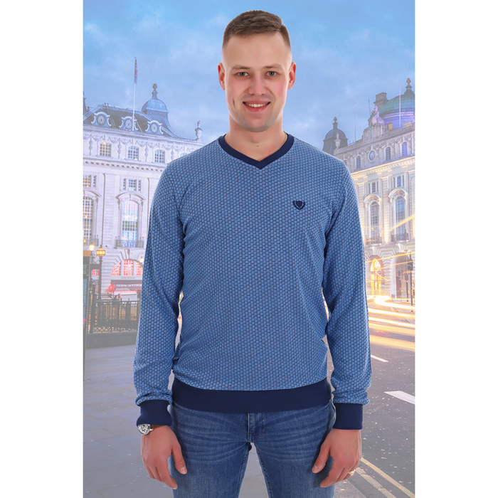 Джемпер мужской "Ясень" цвет голубой, р-р 50