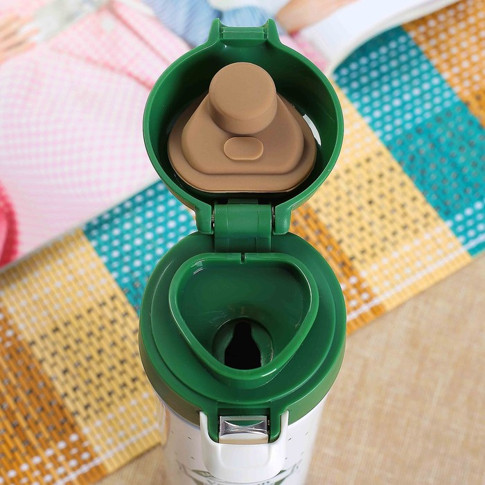 Термос 450 мл Raiser, 304 нерж сталь, крышка на защёлке, 10 ч, микс, 6.5х23.5 см