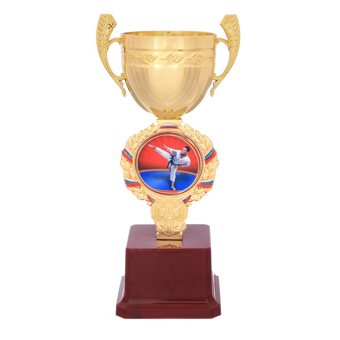 Кубок спортивный "Карате"