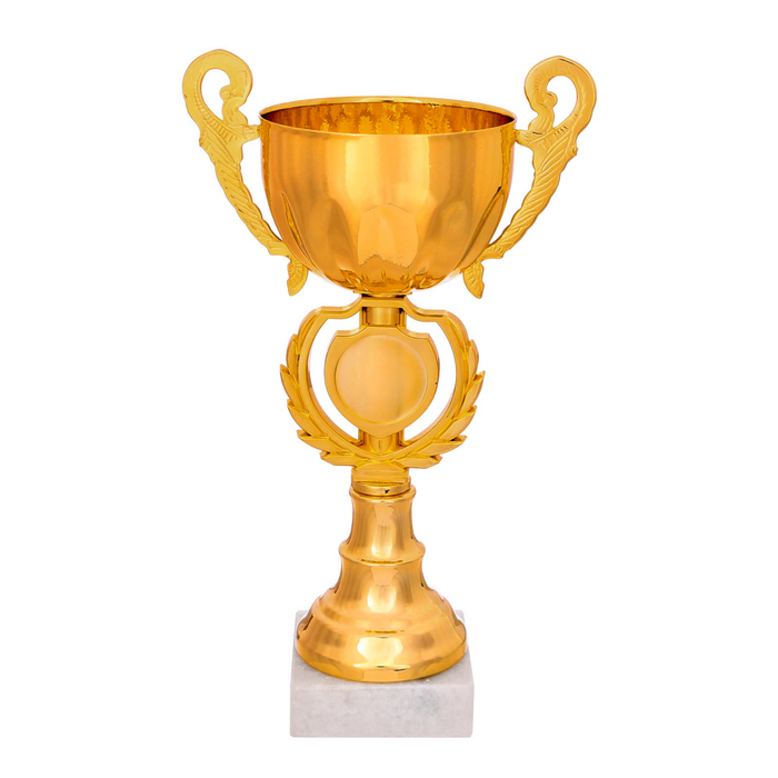 Кубок спортивный 159