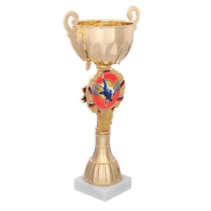 Кубок спортивный "Дзюдо"